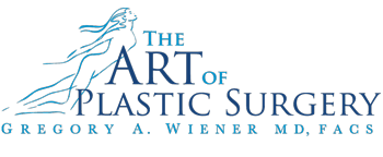 Plastic Surgery Chicago Illinois