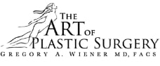 The Art of Plastic Surgery logo