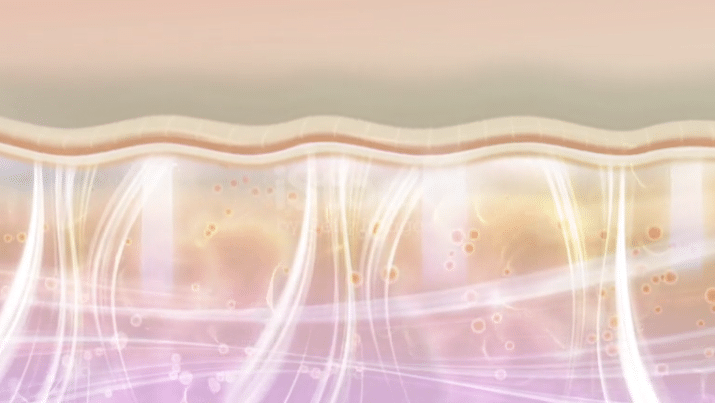 PRIME Platinum Package